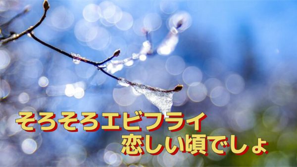 そろそろエビフライ恋しい頃ですよね💓