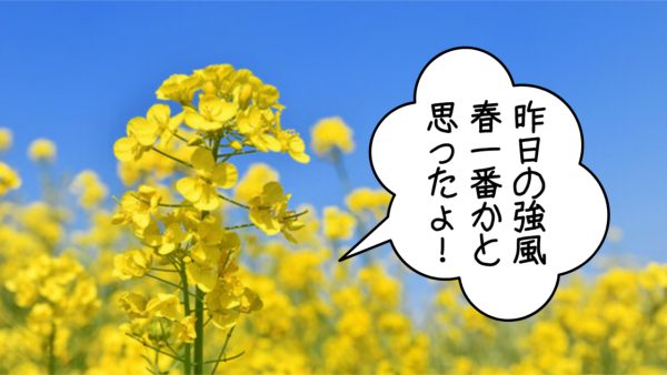 そろそろかなぁ～春一番!?