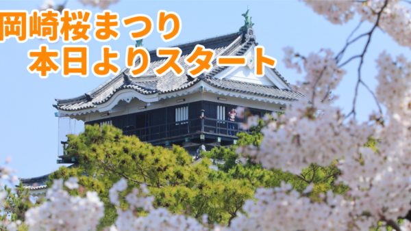 🌸春本番！桜まつりスタート＆うおのぶのメニューも進化中!?🌸