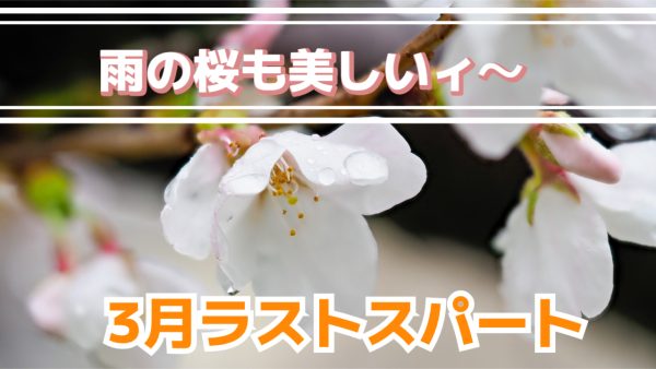 ☁️曇り空でも気分は春♪ クーポン使い忘れ注意報発令中！🌸