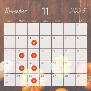 岡崎市 うおのぶ食堂 魚信 エビフライ ランチ カキフライ アジフライ 定食 美味しい 揚げたて 岡崎グルメ 三河グルメ